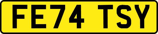FE74TSY