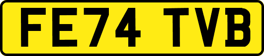 FE74TVB