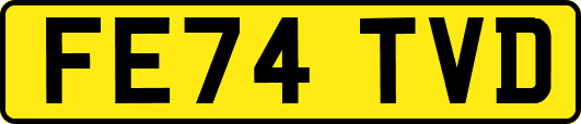FE74TVD