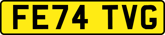 FE74TVG