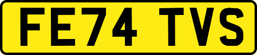 FE74TVS