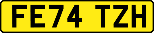 FE74TZH