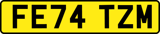 FE74TZM