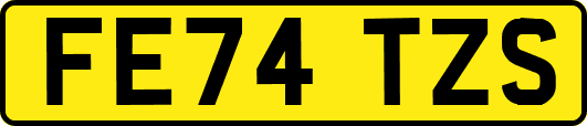 FE74TZS
