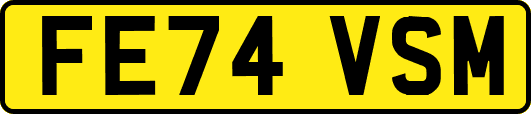 FE74VSM