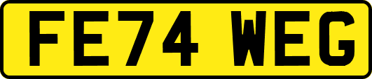 FE74WEG