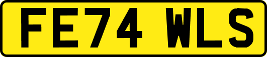 FE74WLS