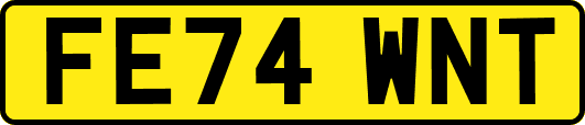 FE74WNT