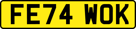 FE74WOK