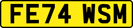 FE74WSM