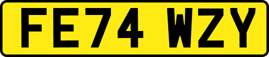 FE74WZY
