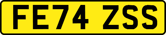 FE74ZSS