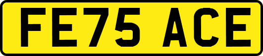 FE75ACE