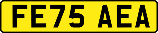 FE75AEA