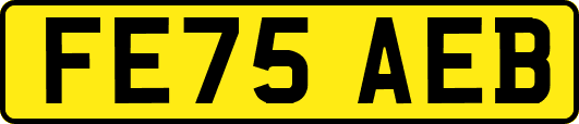 FE75AEB