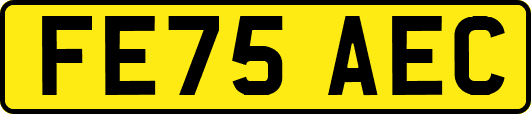 FE75AEC