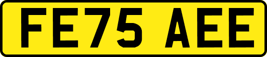 FE75AEE