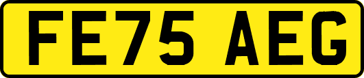 FE75AEG