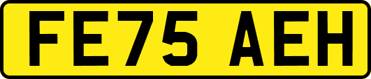 FE75AEH