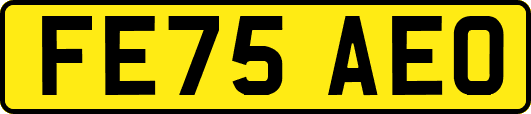 FE75AEO