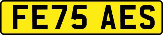 FE75AES