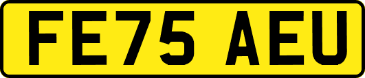FE75AEU