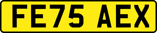 FE75AEX