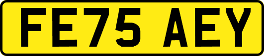 FE75AEY