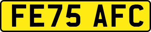 FE75AFC