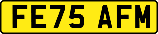FE75AFM