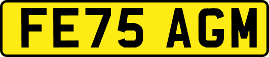 FE75AGM