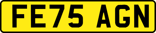 FE75AGN