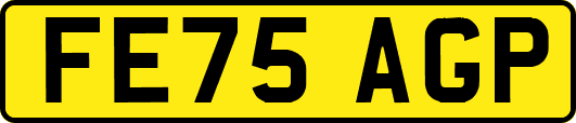FE75AGP