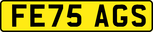FE75AGS