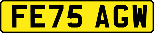 FE75AGW