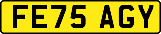 FE75AGY