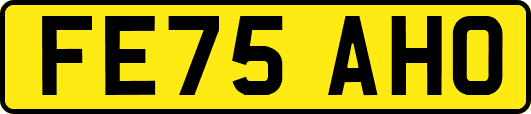 FE75AHO