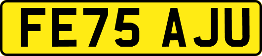 FE75AJU