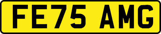 FE75AMG