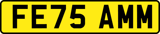 FE75AMM