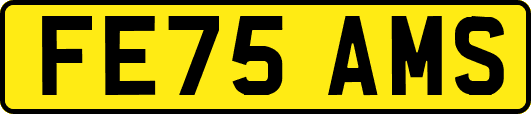 FE75AMS