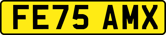 FE75AMX