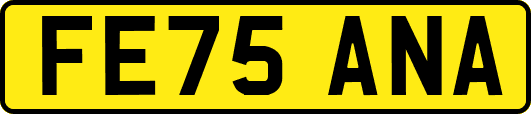 FE75ANA