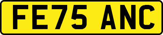 FE75ANC