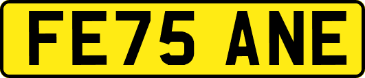FE75ANE