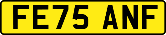 FE75ANF