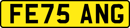 FE75ANG