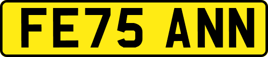 FE75ANN