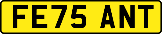 FE75ANT