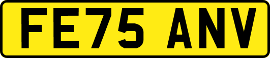 FE75ANV